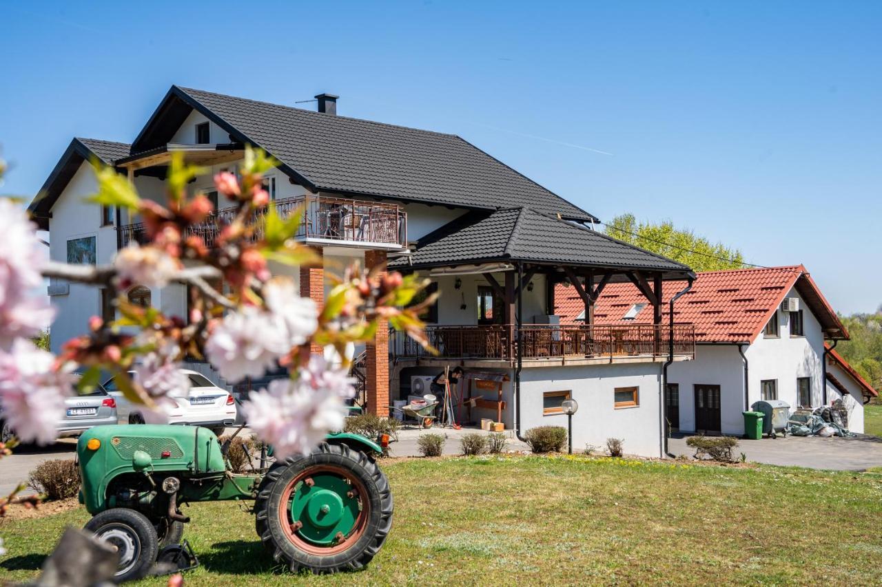 Deluxe Apartments Franjkovic Селиште-Дрежничко Экстерьер фото